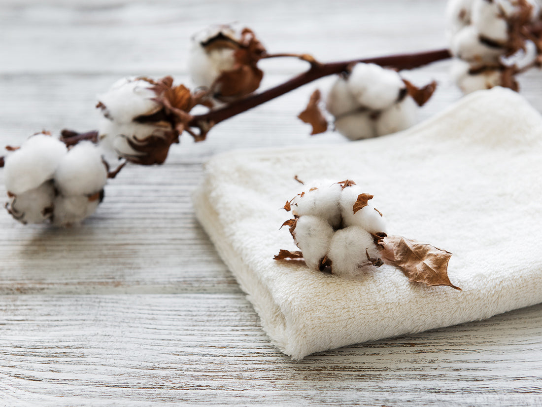 organic cotton baby clothes