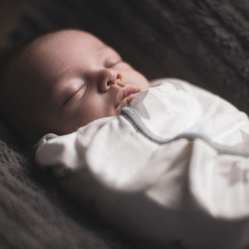 Swaddle Blankets Little Seeds Organic Cotton Swaddles