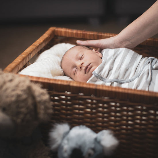 Swaddle Blankets Little Seeds Organic Cotton Swaddles